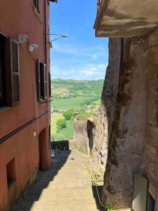 Appartamento Nel Borgo Orte Buitenkant foto